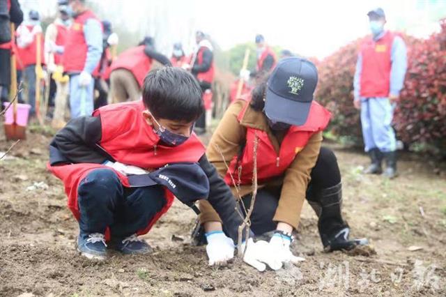 在鄂外國專家參加植樹活動