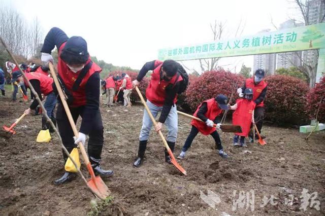 在鄂外國專家參加植樹活動