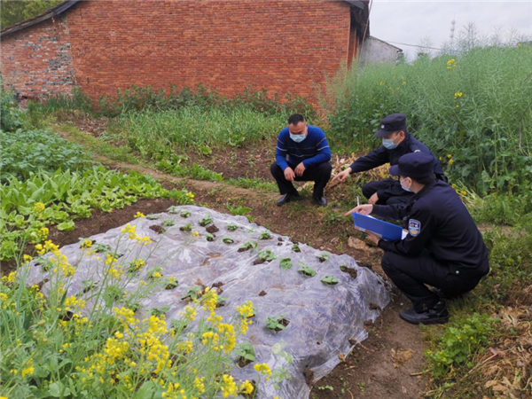 【湖北】荊門沙洋“警管家”精打細算護春耕