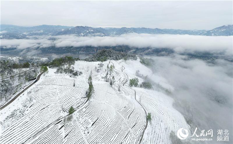 組圖：湖北保康 春雪如畫