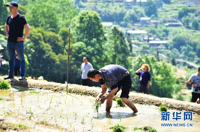 湖北宣恩：美麗田園成為網紅打卡點