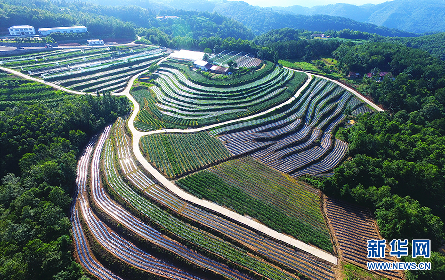 雲端之上百里荒 四季如畫有詩意