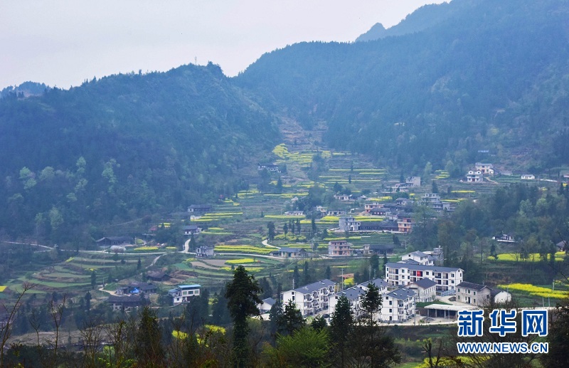 湖北宣恩：美麗田園成為網紅打卡點