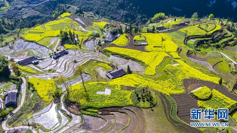 湖北宣恩：美麗田園成為網紅打卡點