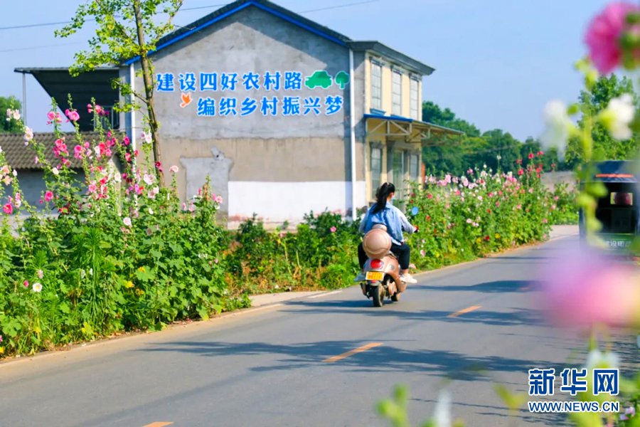 “四好農村路”串起鄉村夏日美景