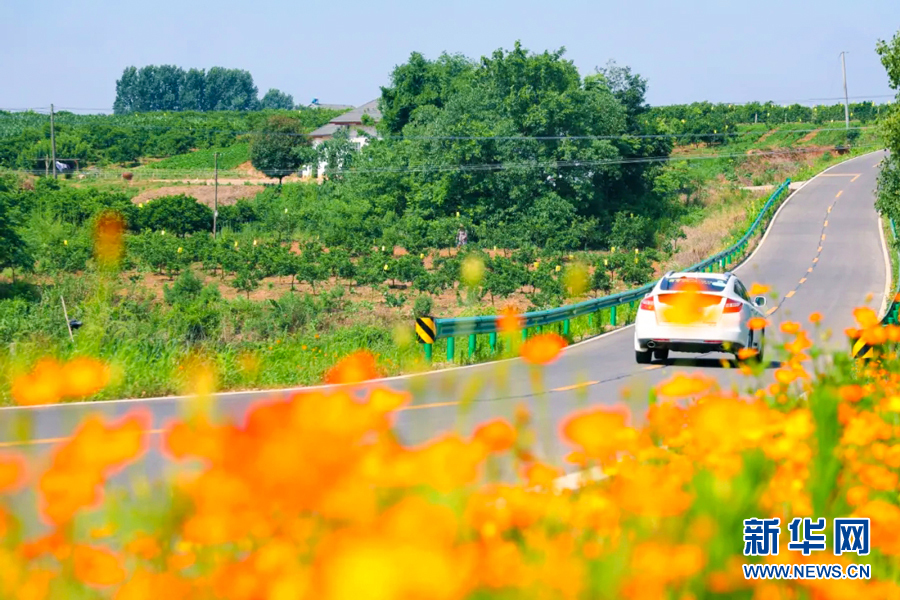 “四好農村路”串起鄉村夏日美景