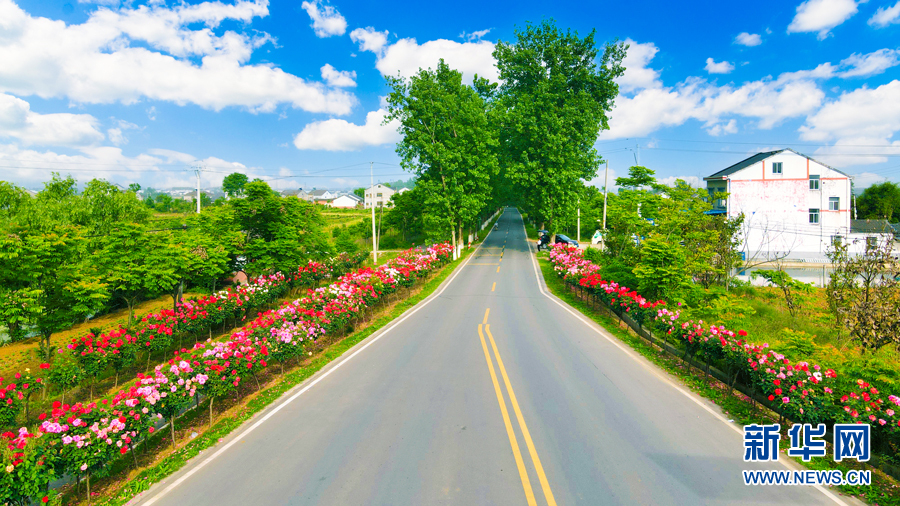 “四好農村路”串起鄉村夏日美景