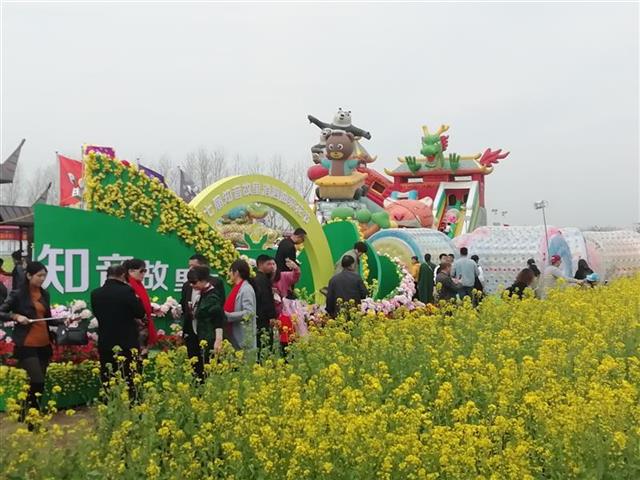 黃金花海任你遊 知音故里蔡甸消泗油菜花節開幕