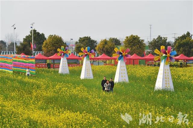 蔡甸萬畝油菜花海等你來