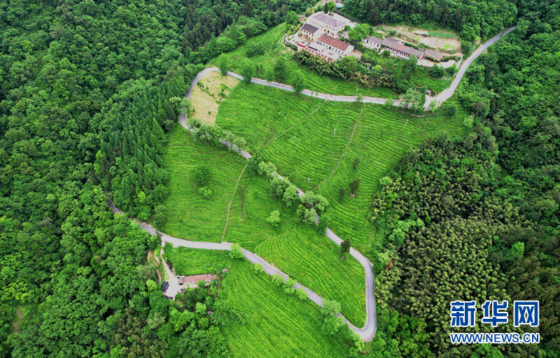 湖北保康：官山旅遊路盤出大山致富路