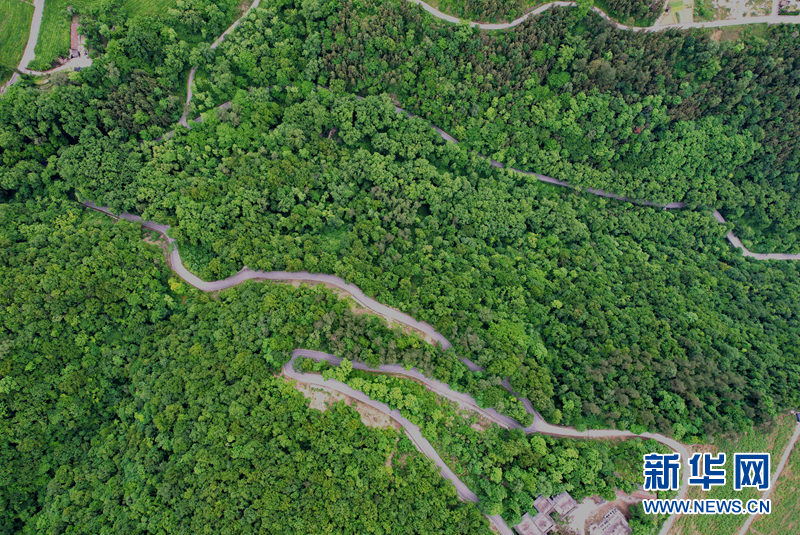 湖北保康：官山旅遊路盤出大山致富路