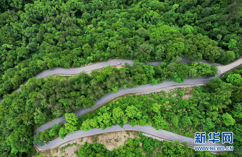 湖北保康：官山旅遊路盤出大山致富路