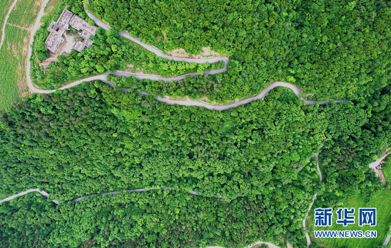 湖北保康：官山旅遊路盤出大山致富路