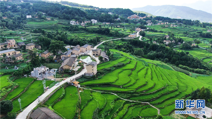 夏日牛洞坪：層層梯田 如畫村莊