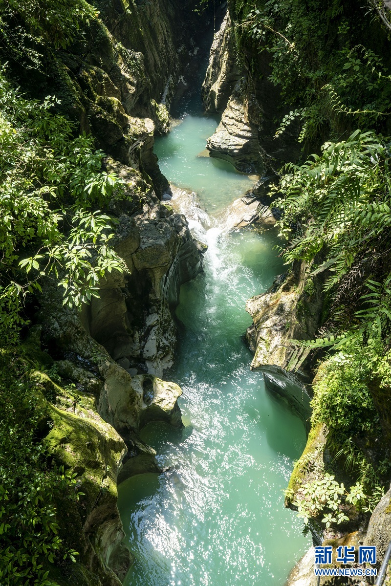 夏日地心谷 綠水青山入畫來