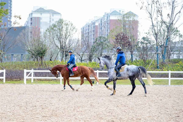 國家馬術學院正式成立 落戶武漢商學院_fororder_圖片2