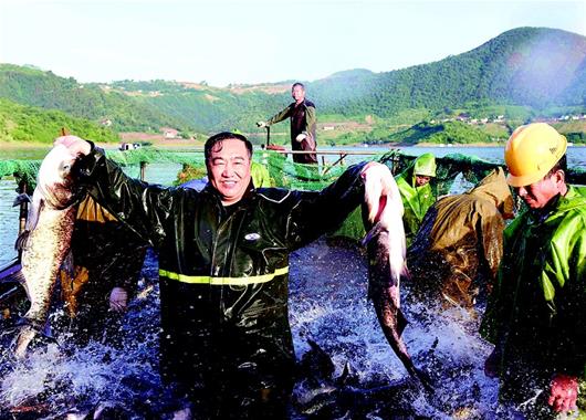 湖北保康：水美魚肥