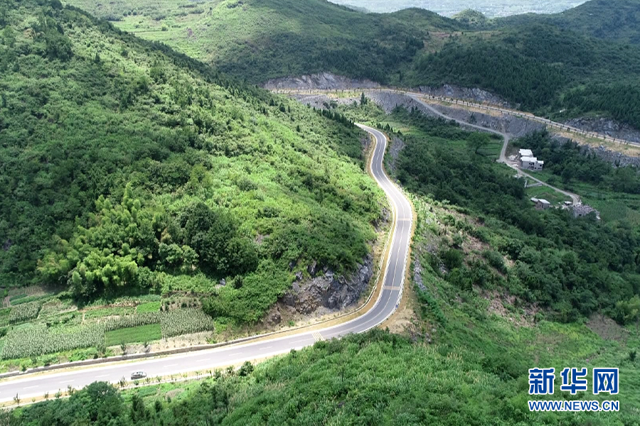 走進鄉村看小康｜富硒資源讓荒山由“空”變“滿”