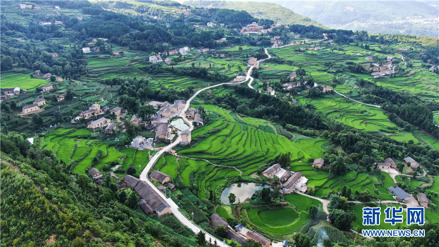 夏日牛洞坪：層層梯田 如畫村莊