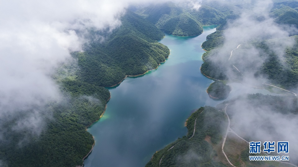 大山深處的“綠色水庫”