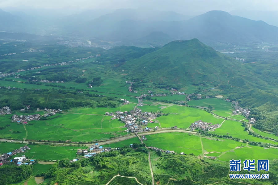 走進鄉村看小康｜富硒資源讓荒山由“空”變“滿”