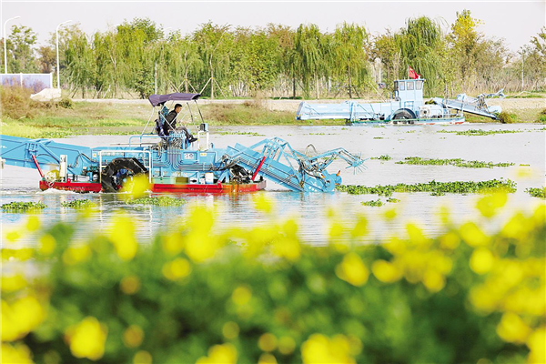 親水親綠“墊高”大美襄陽 漢江濱水空間成為新地標_fororder_02