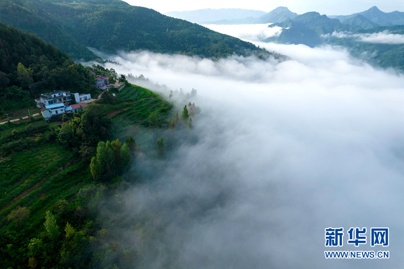 襄陽保康：晨霧縹緲染初秋 白雲深處是家鄉