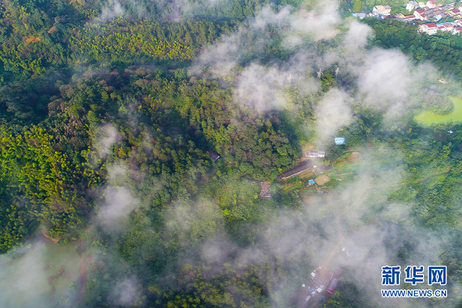 湖北咸寧：雲霧繞潛山