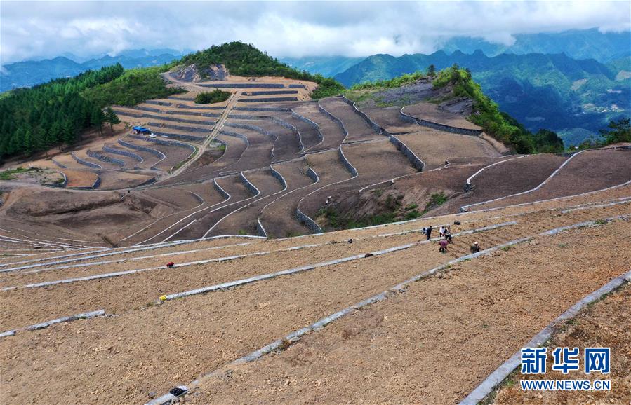 湖北宣恩：土苗山鄉田園新景致