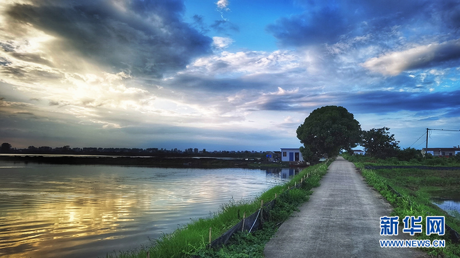 湖北漢川汈汊湖國家濕地公園管理中心揭牌