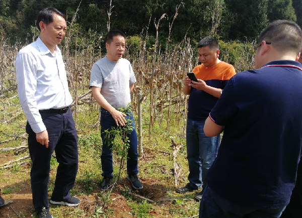 【宜昌民建人物風采】心繫扶貧衝鋒在前  持續助學成就夢想——記民建會員、宜昌金東山投資有限公司董事長高後遠_fororder_圖片3