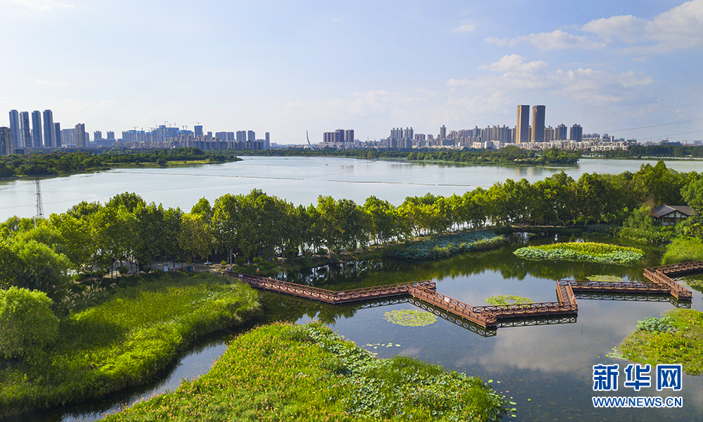 航拍武漢金銀湖國家城市濕地公園