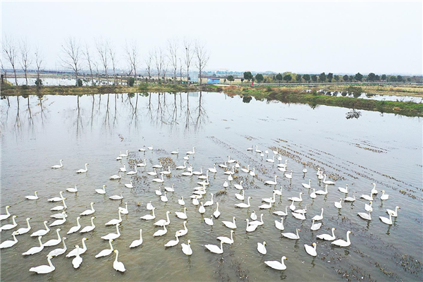 武漢城市圈內多地啟動境內流域生態補償_fororder_01