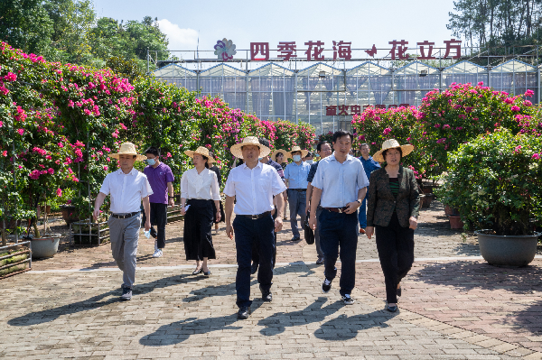 湖北省政協副主席張維國一行赴英山考察調研四季花海項目_fororder_圖片1