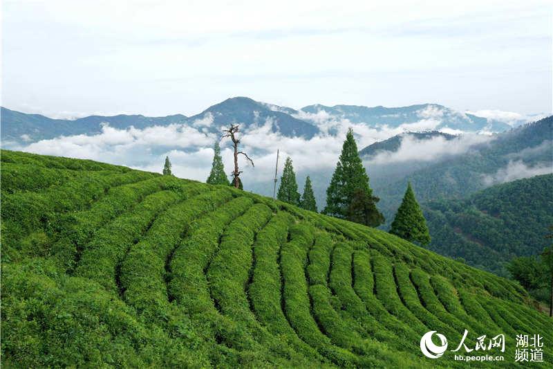 湖北保康：雨後山城美如畫