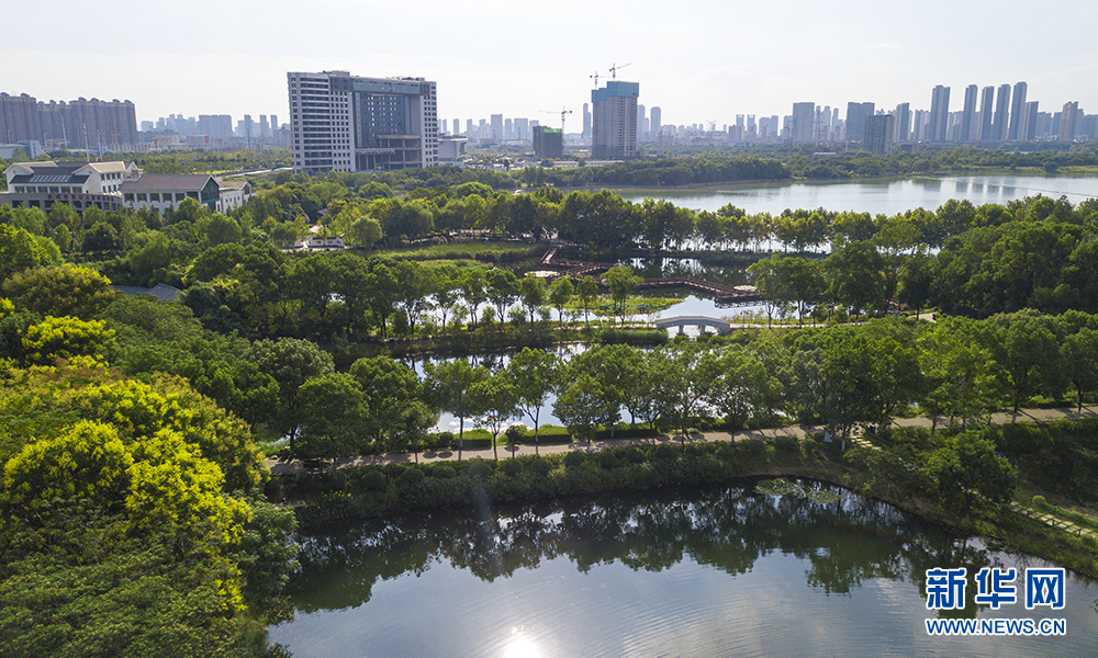 航拍武漢金銀湖國家城市濕地公園