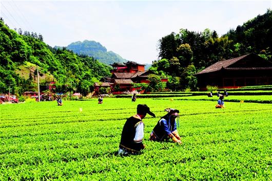 咸豐向綠水青山要“生態紅利”