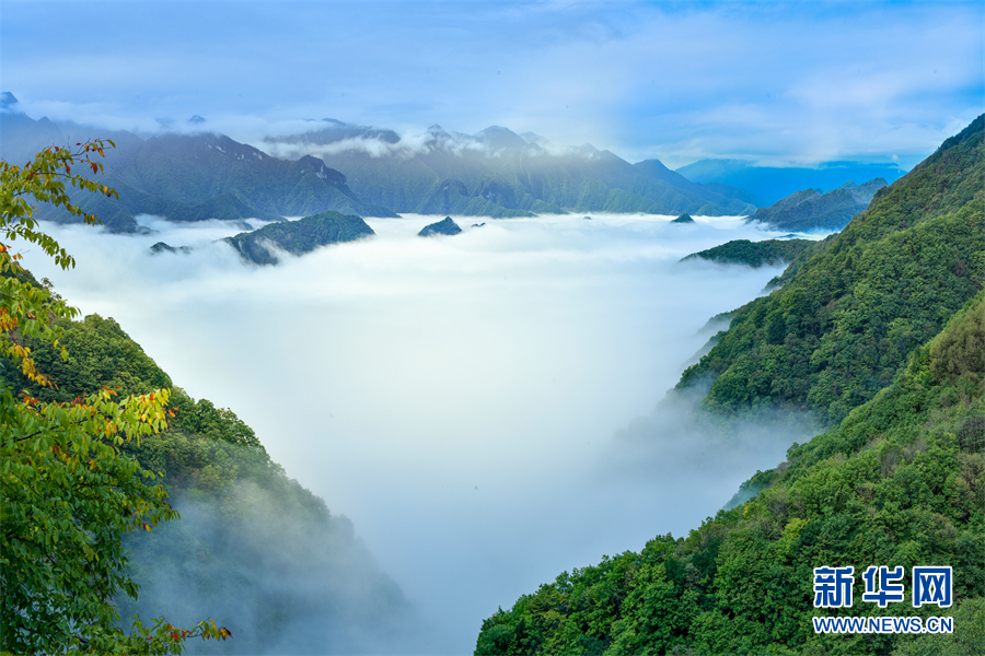 覽“華中屋脊” 看雲卷雲舒