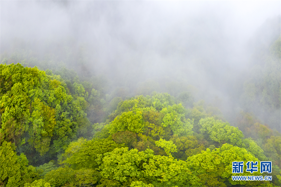 覽“華中屋脊” 看雲卷雲舒