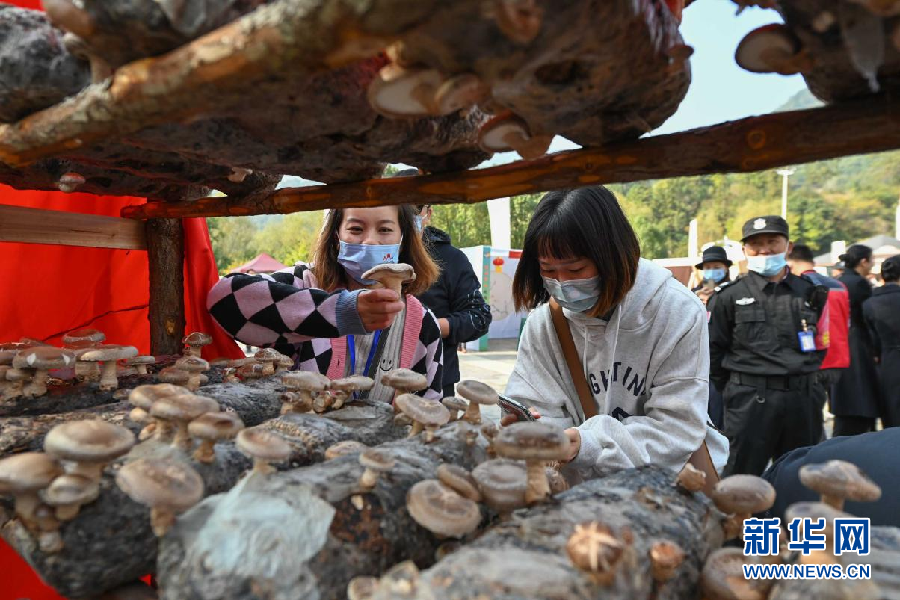 湖北隨州舉辦文化旅遊産業發展大會 推進全域旅遊發展