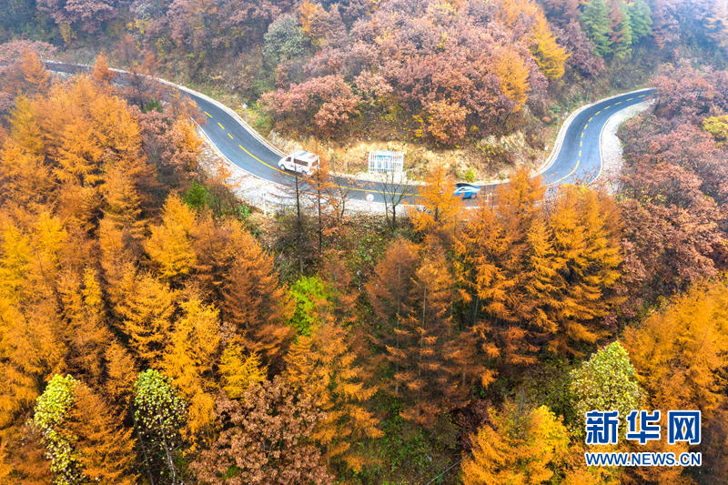 湖北保康：未品濃秋已立冬 五彩山景更醉人