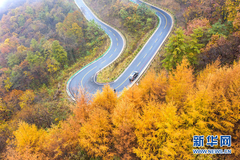 湖北保康：未品濃秋已立冬 五彩山景更醉人