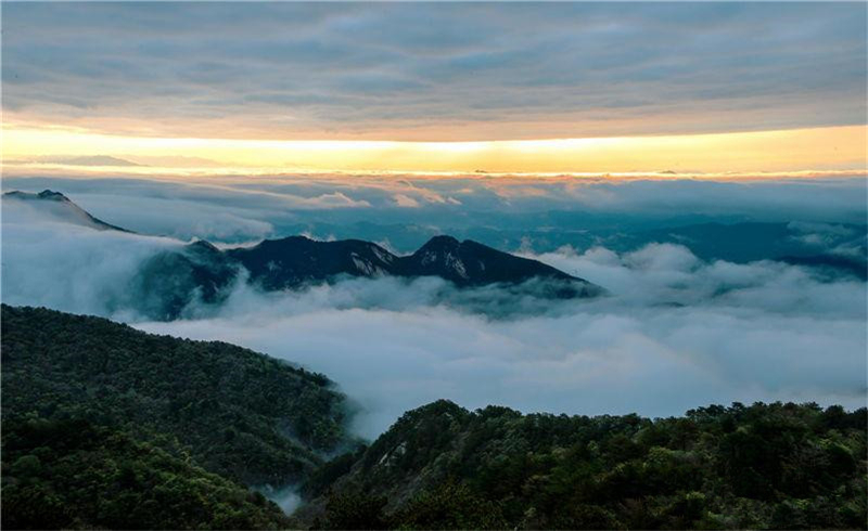 【湖北】【客戶稿件】麻城龜峰山景區迎避暑遊小高峰（組圖）