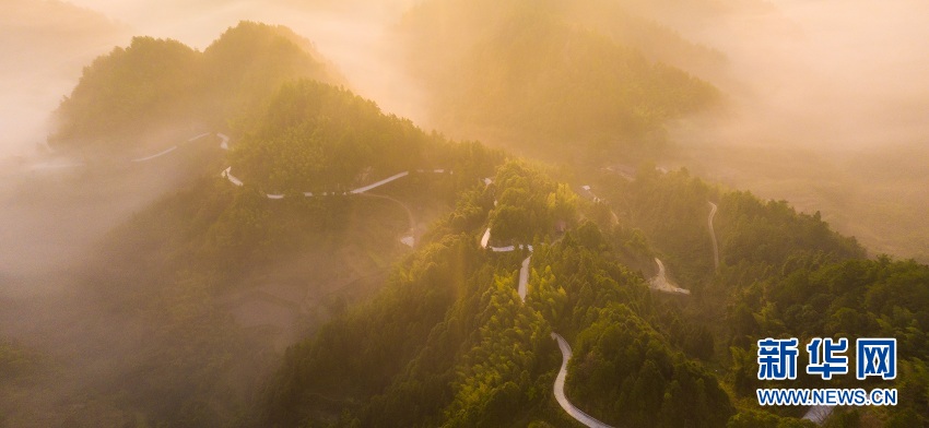 湖北來鳳：山村冬晨雲海蒼茫