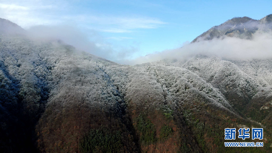 湖北十堰：雪後十八里長峽 半山皚皚半山紅