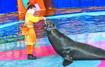 雲上劇場“遊樂園·玩木偶”六一啟動