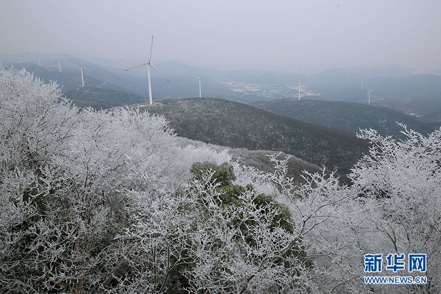 荊門聖境山現冰雪霧凇 銀裝素裹