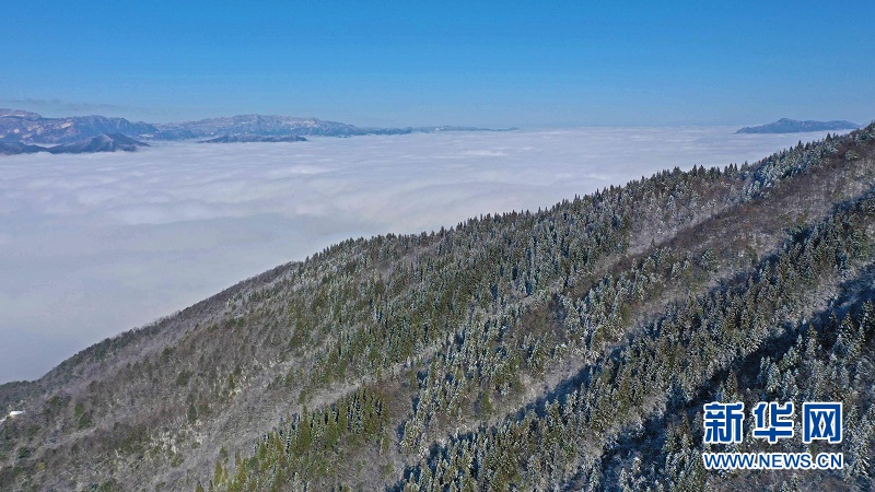 武陵山腹地邂逅雲海雪原