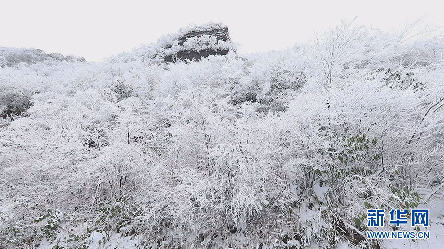 雪後二仙岩 雲翻霧卷的冰雪世界