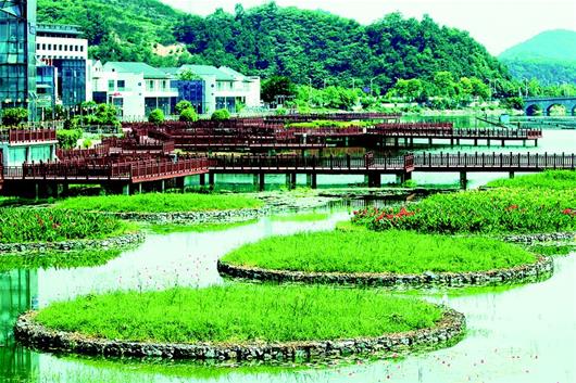 武當山打造劍河“水下生物圈”